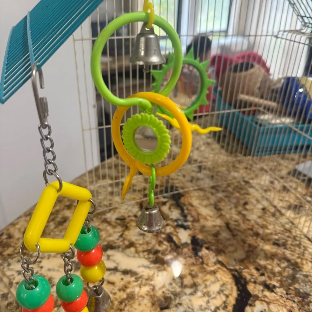 Vibrant Hanging Bird Toy Set with Bells